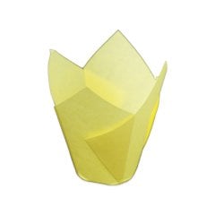 Capsule Tulip 11x11 Small 250 Pieces