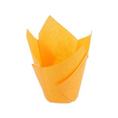 Capsule Tulip 11x11 Small 250 Pieces