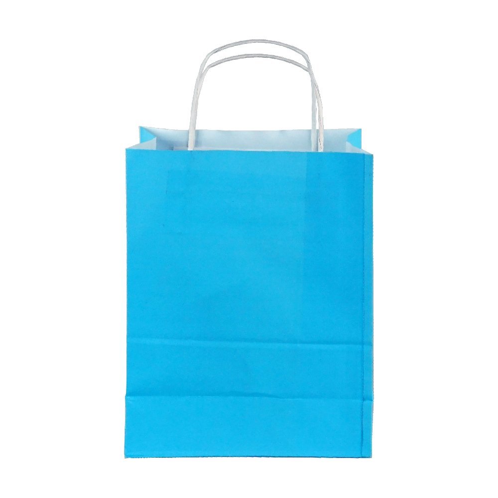 Çanta Beyaz Kraft 18x24x9 cm Burgu Sap Mavi 400 ADETLİ KOLİ
