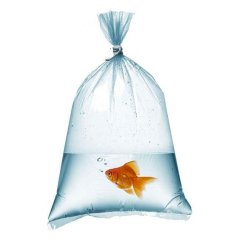Nylon Bag Triple 25x42 cm 1 kg Packaged
