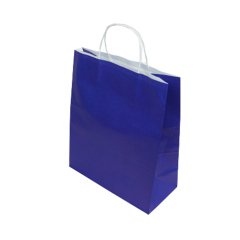 Bag White Kraft 18x24x9 Cm Twist Handle Navy Blue