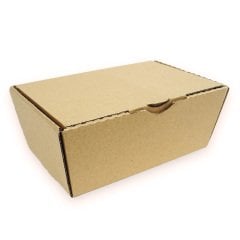 Box Menu Tst Three Compartments 21x12.5x9 Cm